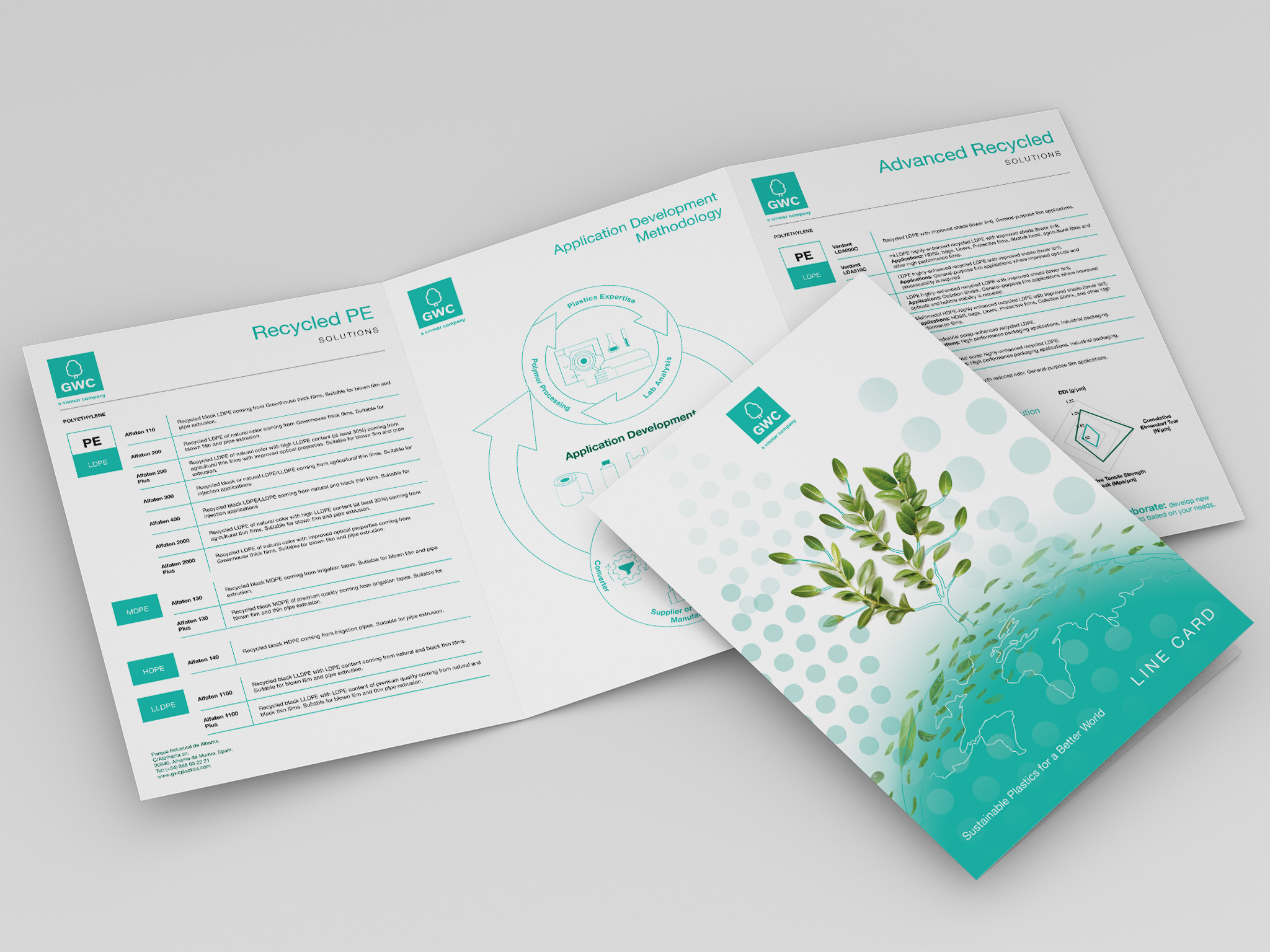 custom brochure design